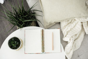 office desk with plant and notebook
